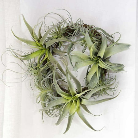 1pc Artificial Pineapple Grass Air Plants Fake Flowers DIY Home Wall DecoCACA 